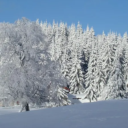 Appartement Fila Kočani